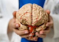 NATO-da “beynin sındırılması” mexanizmləri araşdırılıb