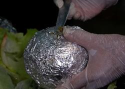 Marixuana satan universitet professoru yaxalandı