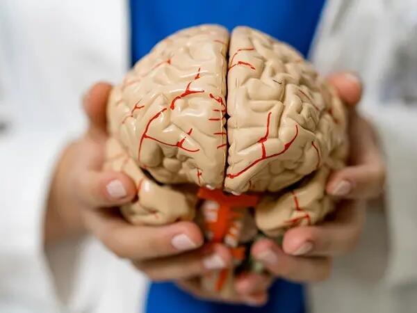 NATO-da “beynin sındırılması” mexanizmləri araşdırılıb