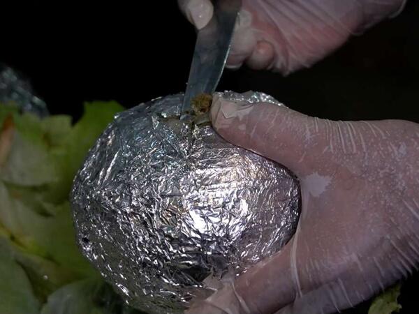 Marixuana satan universitet professoru yaxalandı