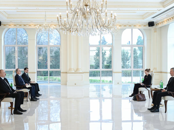 Prezident Norveçin ölkəmizdə yeni təyin olunmuş səfirinin etimadnaməsini qəbul edib - FOTO