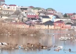 Masazırda bataqlıq yaranıb - FOTO