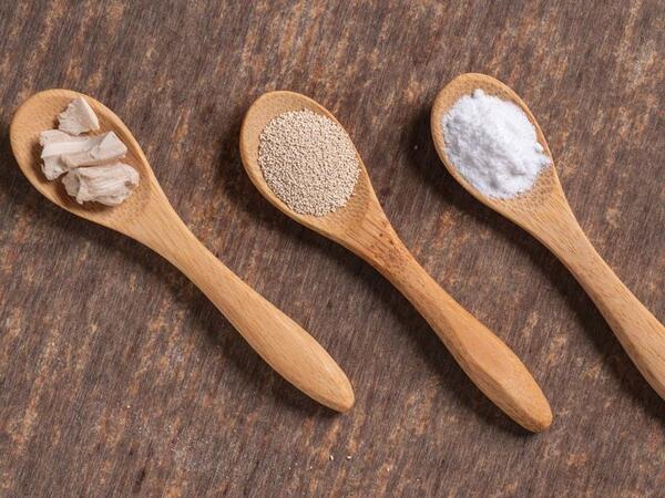 Yaş maya, yoxsa quru maya - Hansını seçməli?