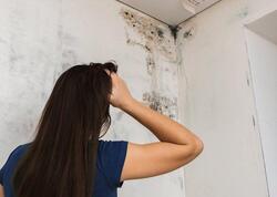 Divardaki kifdən 3 addımda XİLAS OL