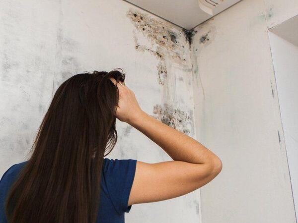 Divardaki kifdən 3 addımda XİLAS OL