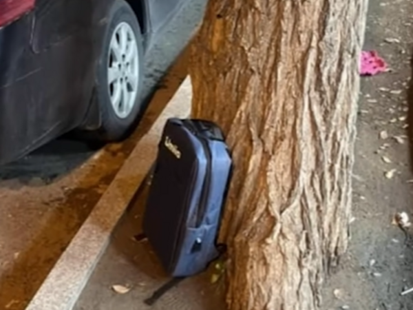 Aldığı planşeti qaytarmaq istədi, satıcı ağacın dibinə atdı