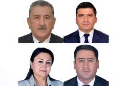 Naxçıvan Ali Məclisinin komitələrinin sədrləri seçilib