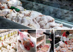 Yol qırağından nəsə alanda 2 dəfə düşünün - Hinduşka adı ilə toyuq satırlar