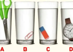 Nə dərəcədə ağıllı olduğunuzu öyrənmək üçün stəkanlardan birini seçin: Psixoloji analiz