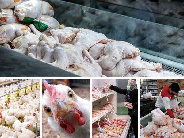 Yol qırağından nəsə alanda 2 dəfə düşünün - Hinduşka adı ilə toyuq satırlar