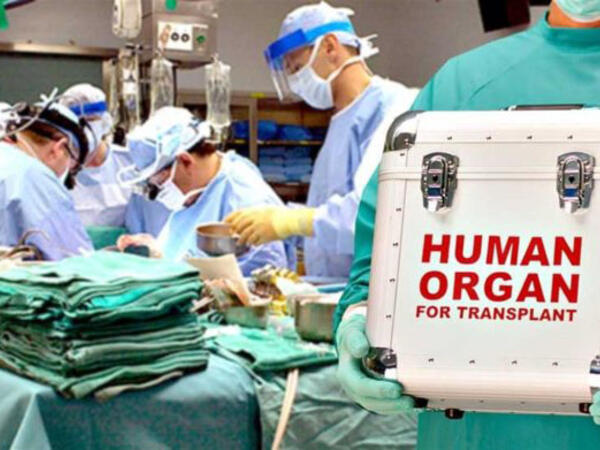 Orqan transplantasiya Azərbaycanda necə həyata keçirilir?
