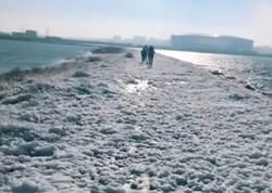 Böyükşor gölündəki köpük nədir? - AÇIQLAMA