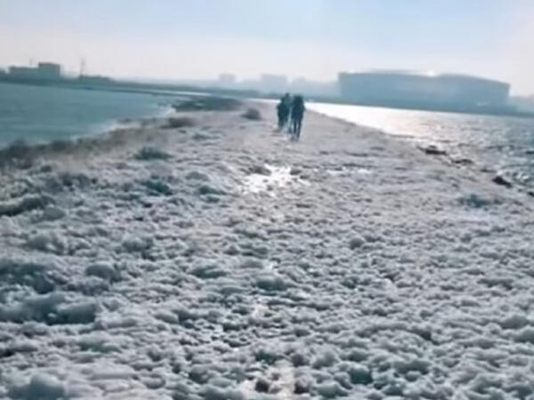 Böyükşor gölündəki köpük nədir? - AÇIQLAMA