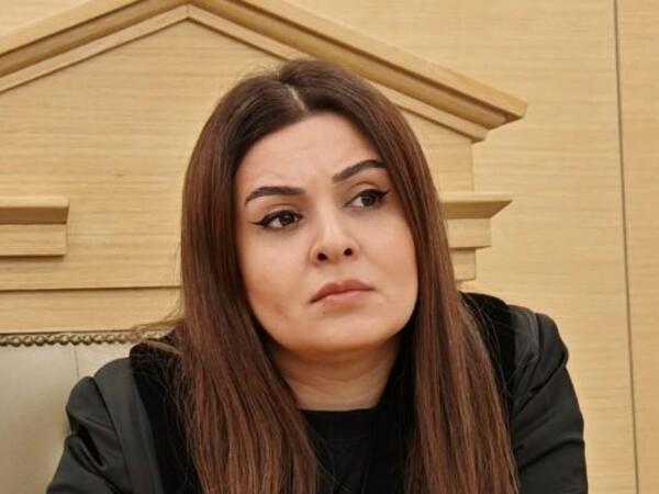 Hakimin ölümünə səbəb olan sürücü həbs edilmədi