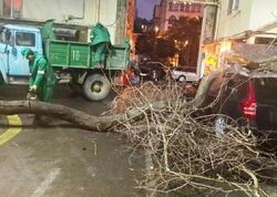 Bakıda davam edən güclü külək hansı fəsadlara yol açıb?