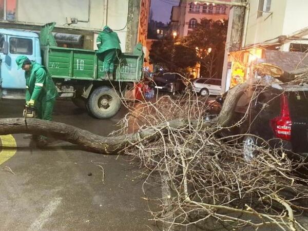 Bakıda davam edən güclü külək hansı fəsadlara yol açıb?
