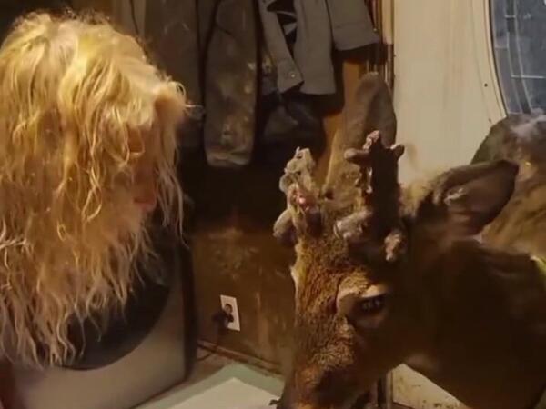 12 il baxdığı maral qadını parçalayıb öldürdü - <span class="color_red">VİDEO</span>