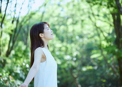 Yaponiyadan dünyaya yayılan axın: Meşə vannası