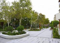 "Malakan bağı"nda YANĞIN - <span class="color_red">VİDEO</span>