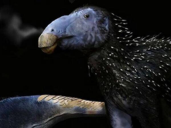 Çində tikanlı dinozavr qalıqları aşkar edilib - <span class="color_red">FOTO</span>