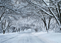 Fevralın 10-11-də intensiv qar yağacaq, yollar buz bağlayacaq - XƏBƏRDARLIQ