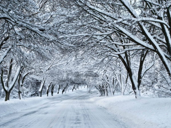 Fevralın 10-11-də intensiv qar yağacaq, yollar buz bağlayacaq - XƏBƏRDARLIQ