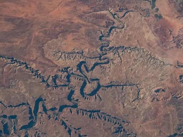 İnanılmaz çay dağ yamacına "dırmaşır": bu necə mümkün ola bilər?