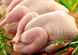 Azərbaycanda toyuq əti BAHALAŞACAQ - Səbəb NƏDİR?