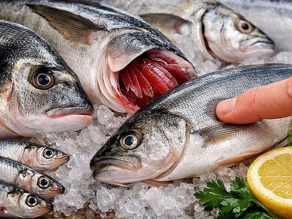 Təzə balıq seçərkən balıqçıların ilk baxdığı yer: Sadəcə bu detal bəs edir!