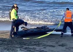 Rusiya PUA-sı Türkiyəyə düşdü - <span class="color_red">FOTO</span>