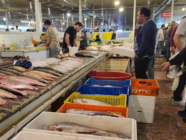 Balıq bahalaşdı - Levrək 20, çupra 18 manat...