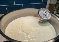 Evdə qatıq mayası yoxdursa, nə etməli?