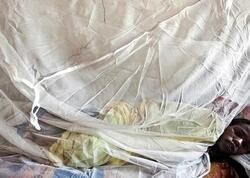 5 həftədə 31 nəfər öldü -  "Lassa" qızdırması ilə bağlı son vəziyyət