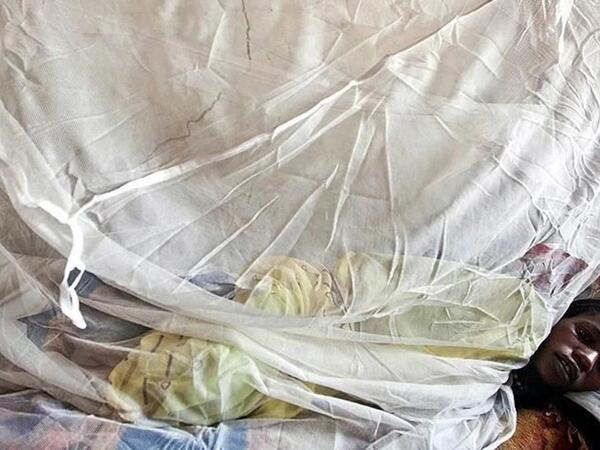 5 həftədə 31 nəfər öldü -  "Lassa" qızdırması ilə bağlı son vəziyyət