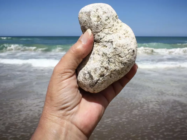 Adi bir daş kimi görünür, sahildə tapan varlanır - <span class="color_red">FOTO</span>