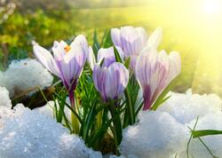 Azərbaycanda boz ay BAŞLADI