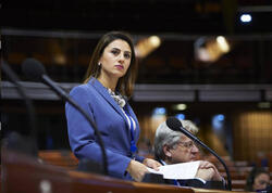 "Azərbaycan və Ermənistan arasında əlaqələrin açılması davamlı sülhə aparan yoldur" - Sevinc Fətəliyeva - <span class="color_red">VİDEO</span>