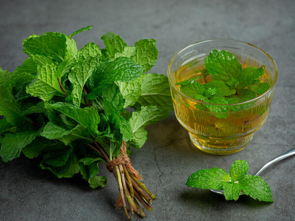 Hormonal akne ilə mübarizədə yeni trend: Buruq nanə (Spearmint) çayı