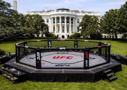 UFC-nin “Ağ Ev” turniri üçün xərcləri rekord həddə çatır