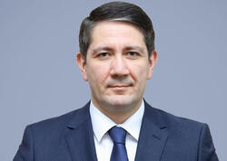 Anar Kərimova daha bir vəzifə VERİLDİ