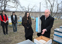 Heydər Əliyev Fondunun vitse-prezidenti Leyla Əliyeva Qubada arıçı ailəsinin qonağı olub - <span class="color_red">FOTO</span>