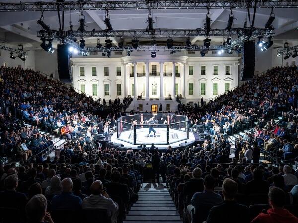 Ağ Evdə UFC turnirinin təşkilinə bu qədər vəsait xərclənəcək