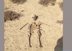 Mikayıl Müşfiqlə bağlı 6 il sonra DNT nəticəsi açıqlandı