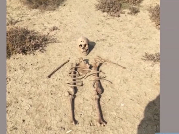 Mikayıl Müşfiqlə bağlı 6 il sonra DNT nəticəsi açıqlandı