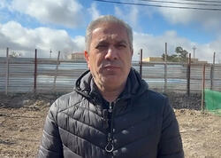 “Gecə sanatoriyası”ndakı bəzi ağaclar başqa əraziyə köçürülüb - Rəsmi açıqlama