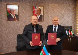 Azərbaycan Dövlət Akademik Milli Dram Teatrı və Şəki Dövlət Dram Teatrı arasında əməkdaşlıq Memorandumu imzalanıb - FOTO