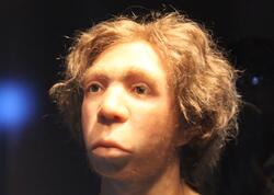 Niyə məhz Neandertal kişilər və Homo sapiens qadınlar?