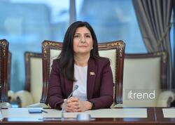 İranın Azərbaycan ərazisinə hücumu regionda sabitliyi bilərəkdən pozmaq və münaqişəni genişləndirmək cəhdidir - Sevil Mikayılova