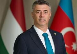 Macarıstan səfiri İranın Naxçıvana hücumlarını pisləyib