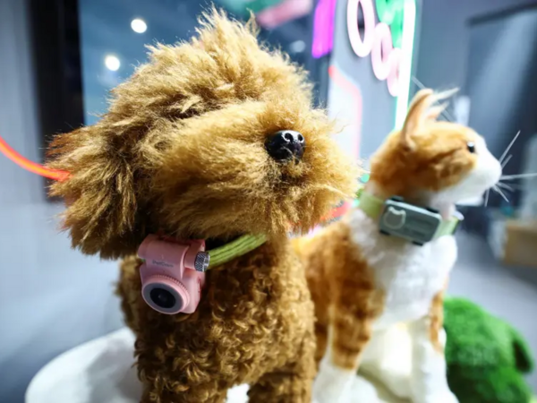 Ev heyvanları üçün smartfon: "PetPhone" təqdim edildi